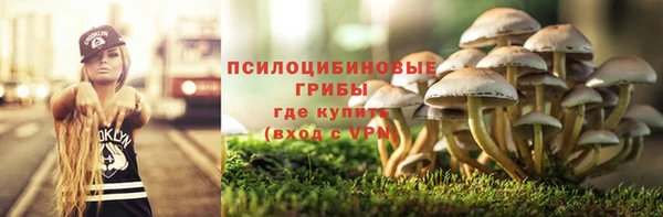 СК Арсеньев