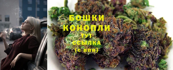 СК Арсеньев